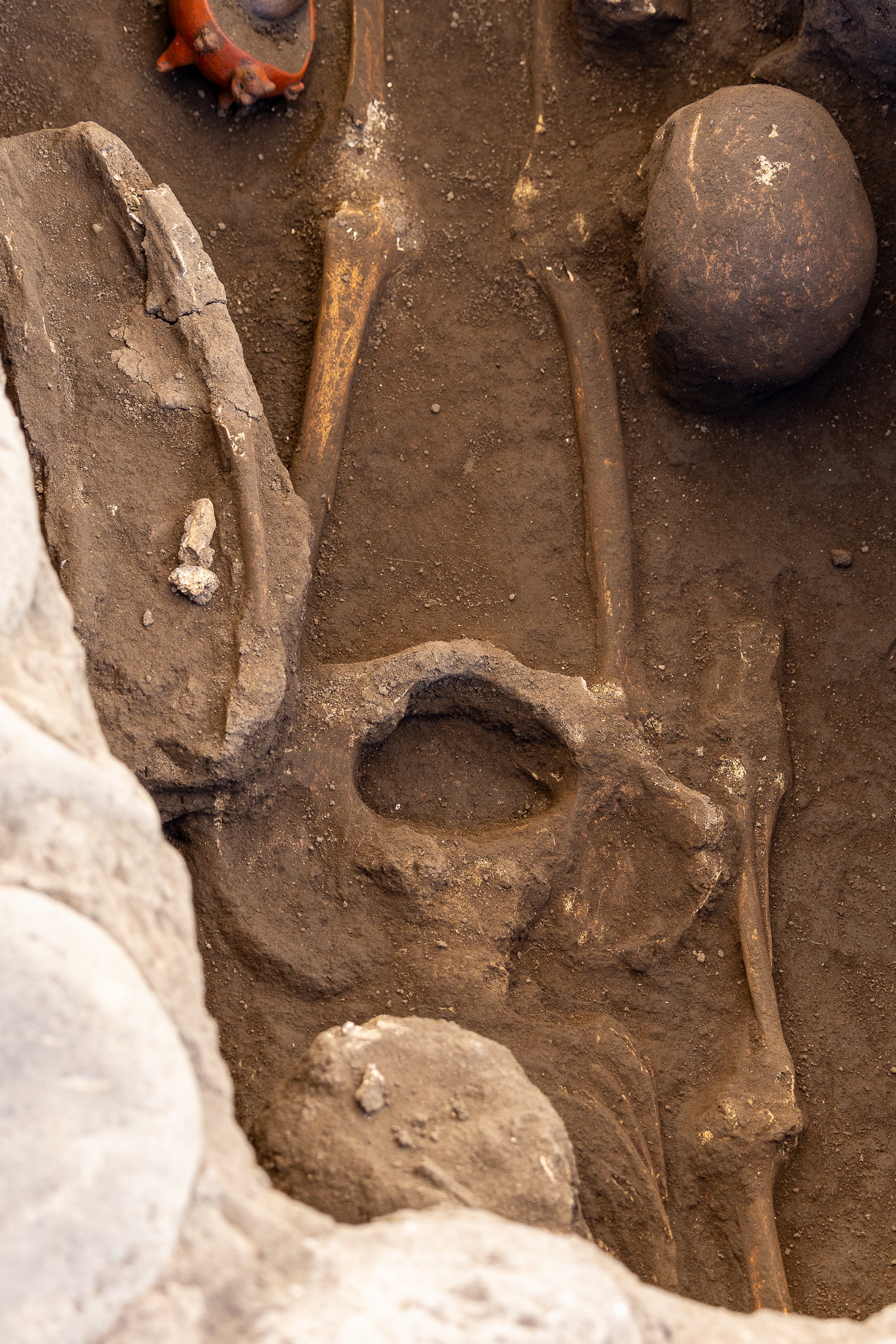19/02/2025, Cartago, Agua Caliente, encuentran un cementerio arqueológico en un desarrollo habitacional que estaban en proceso de construcción encuentran Agua Caliente.