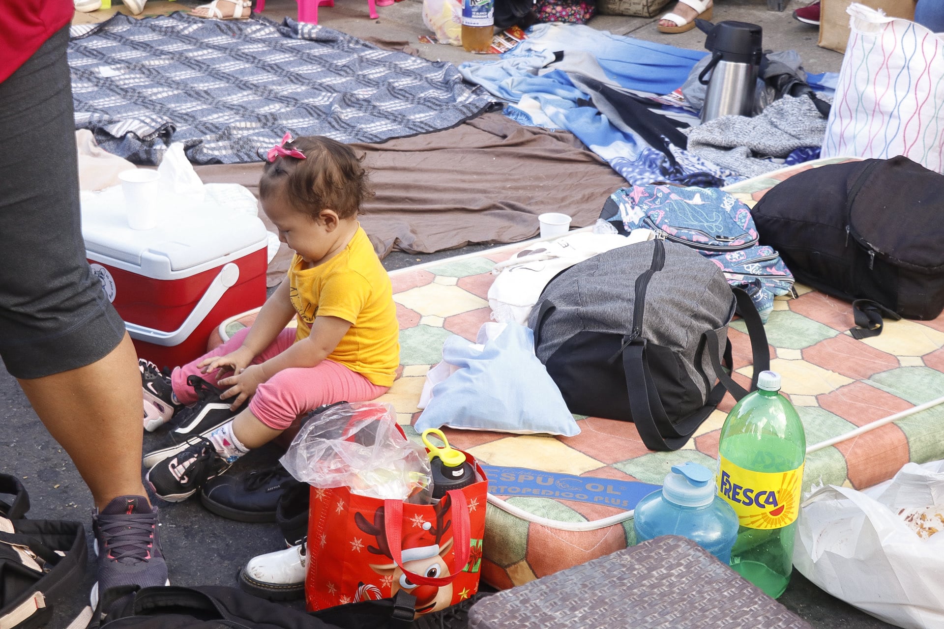 Primer avance. 16/12/2023. Festival de la Luz, San José. Fotografía: Lilly Arce.