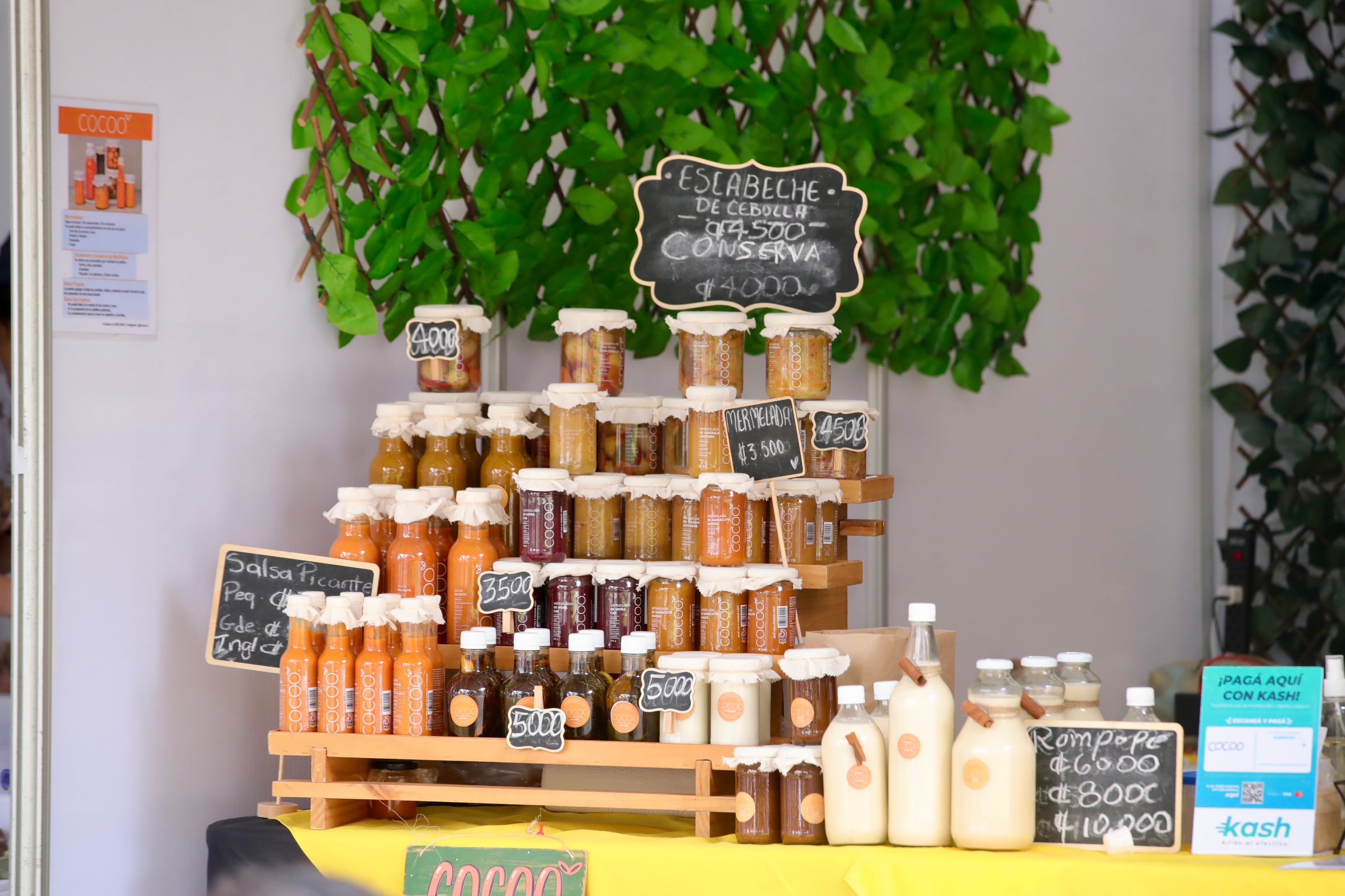 Transitarte San José