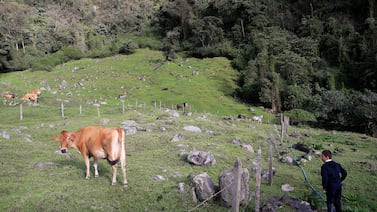 Asociación de Jubilados del Magisterio dirige carta abierta a mandataria electa
