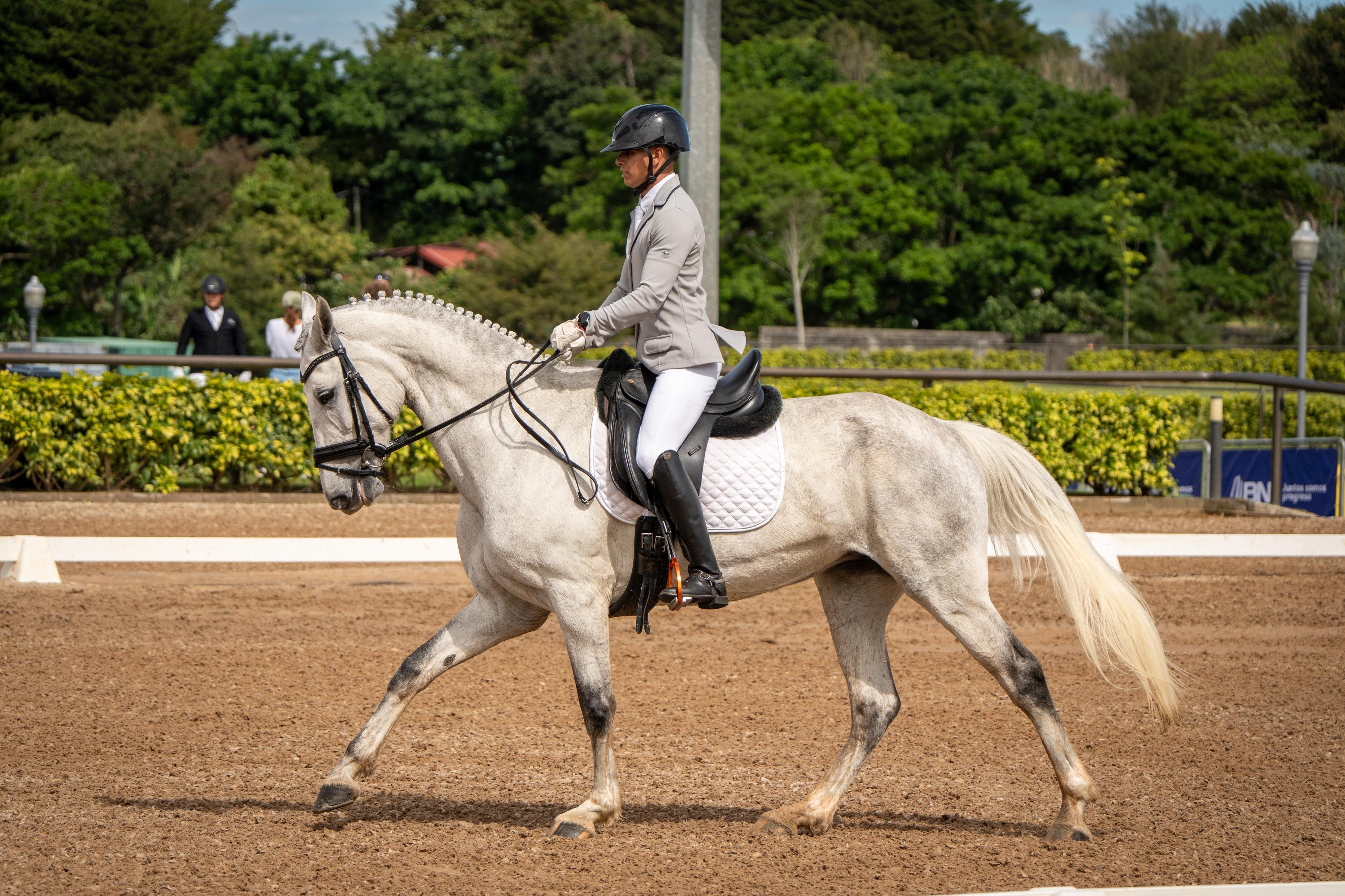 Ecuestre
Copa Barvak 2026
Competencia de adistramiento
19 de febrero del 2026
Cortesía: Hacienda Barvak