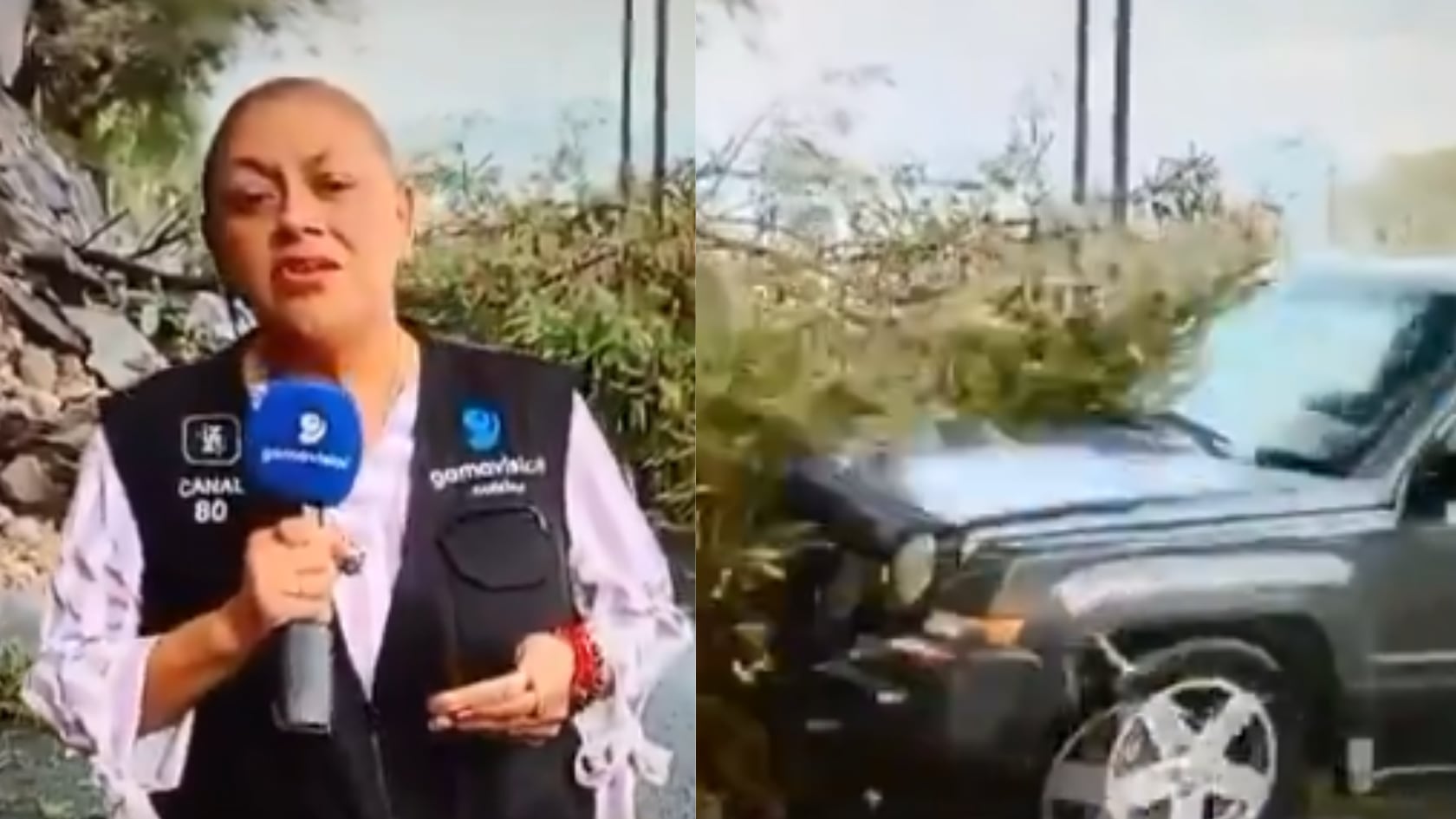 La periodista Alma de la Rosa fue atropellada por un vehículo mientras realizaba una cobertura en Monterrey, México.