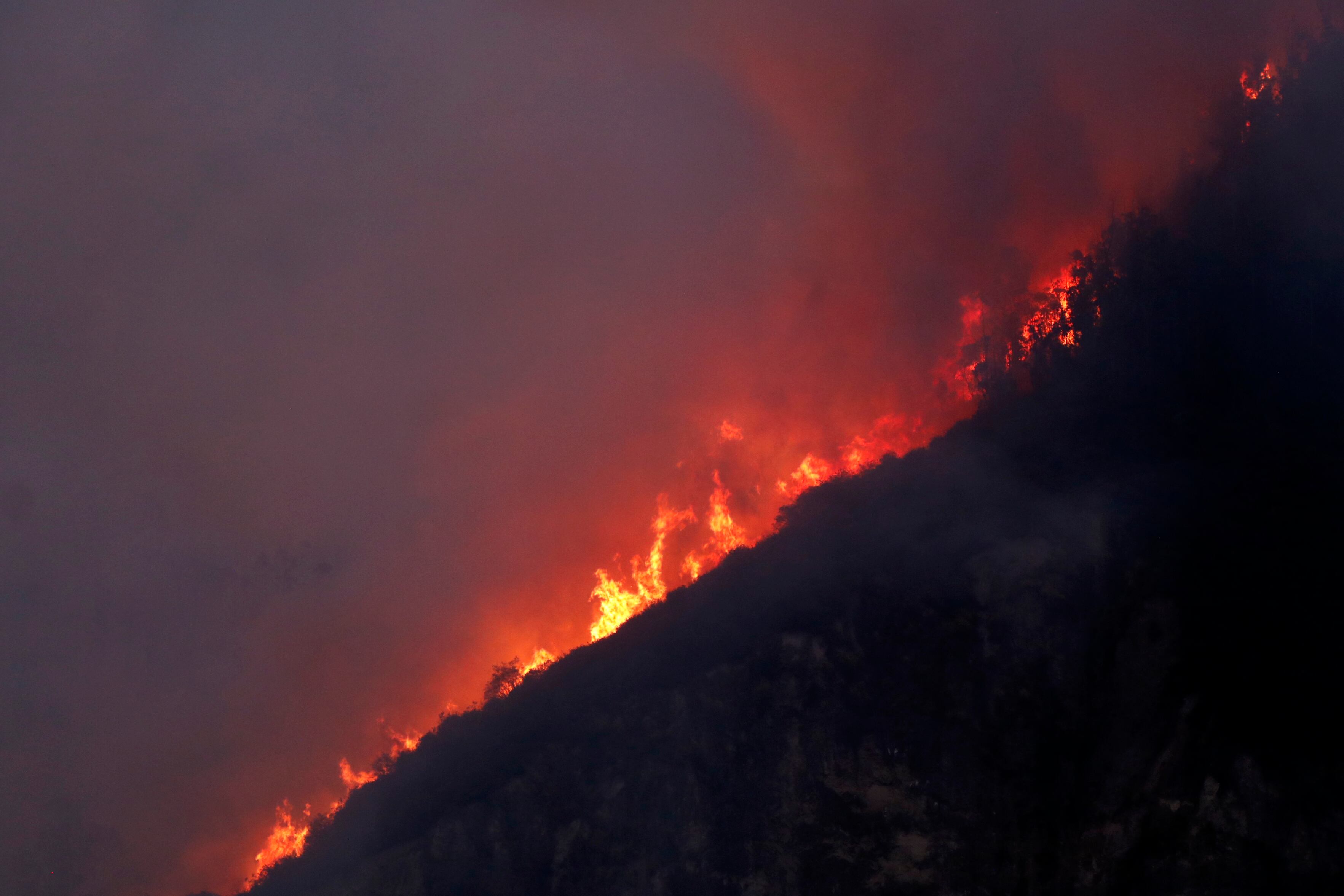 Los incendios consumieron 37.808 hectáreas y causó la muerte de 44.742 animales de granja.