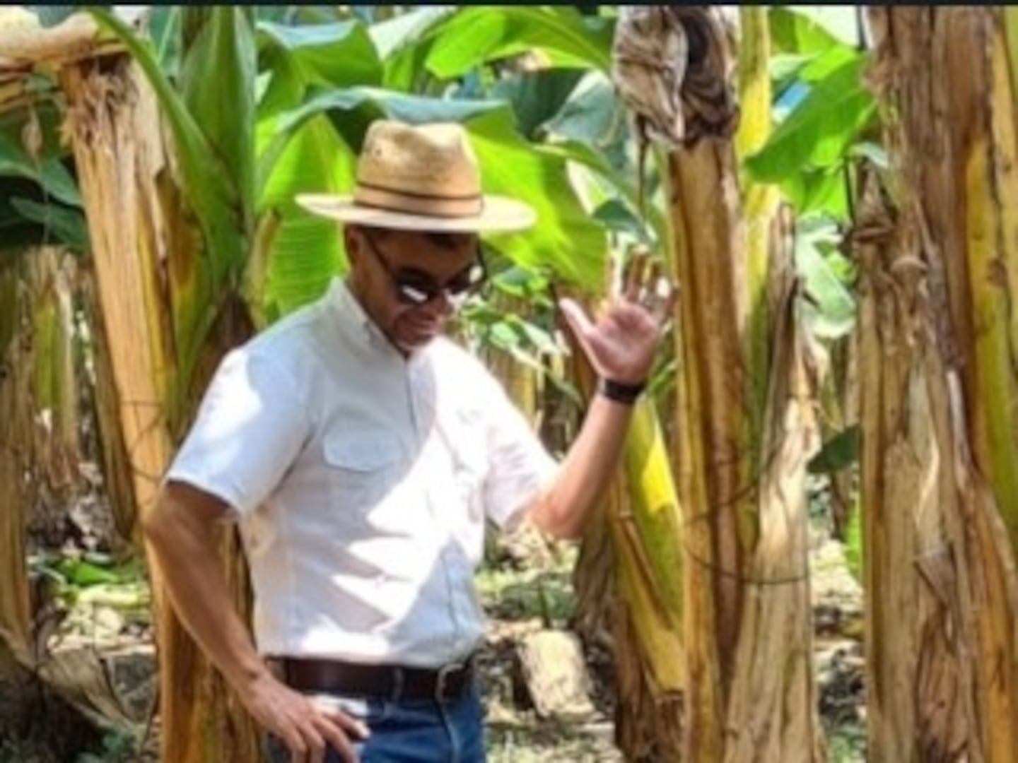 Misterio rodea cruel asesinato de ingeniero costarricense por parte de un vecino en Belice: ¿Quién era Rolando Vindas?