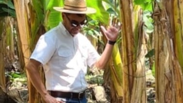 Costarricense es asesinado a puñaladas en Belice: era gerente de una reconocida bananera internacional