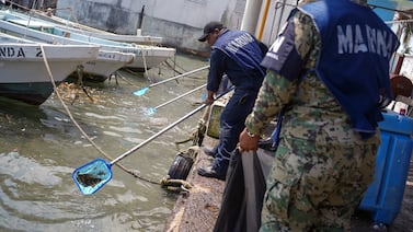 México revela causas de derrame de petróleo en el Golfo