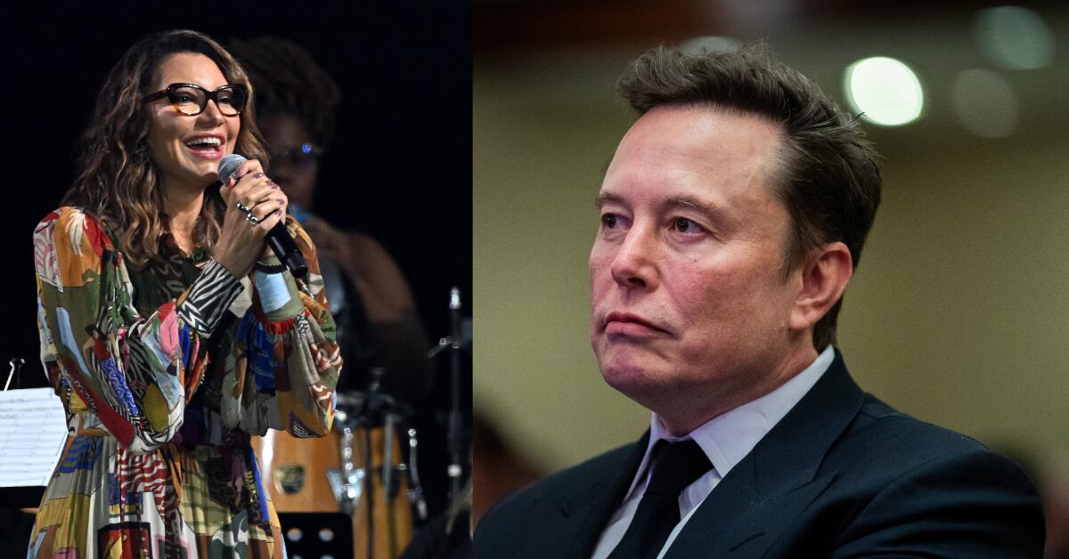 Rosangela "Janja" da Silva y Elon Musk