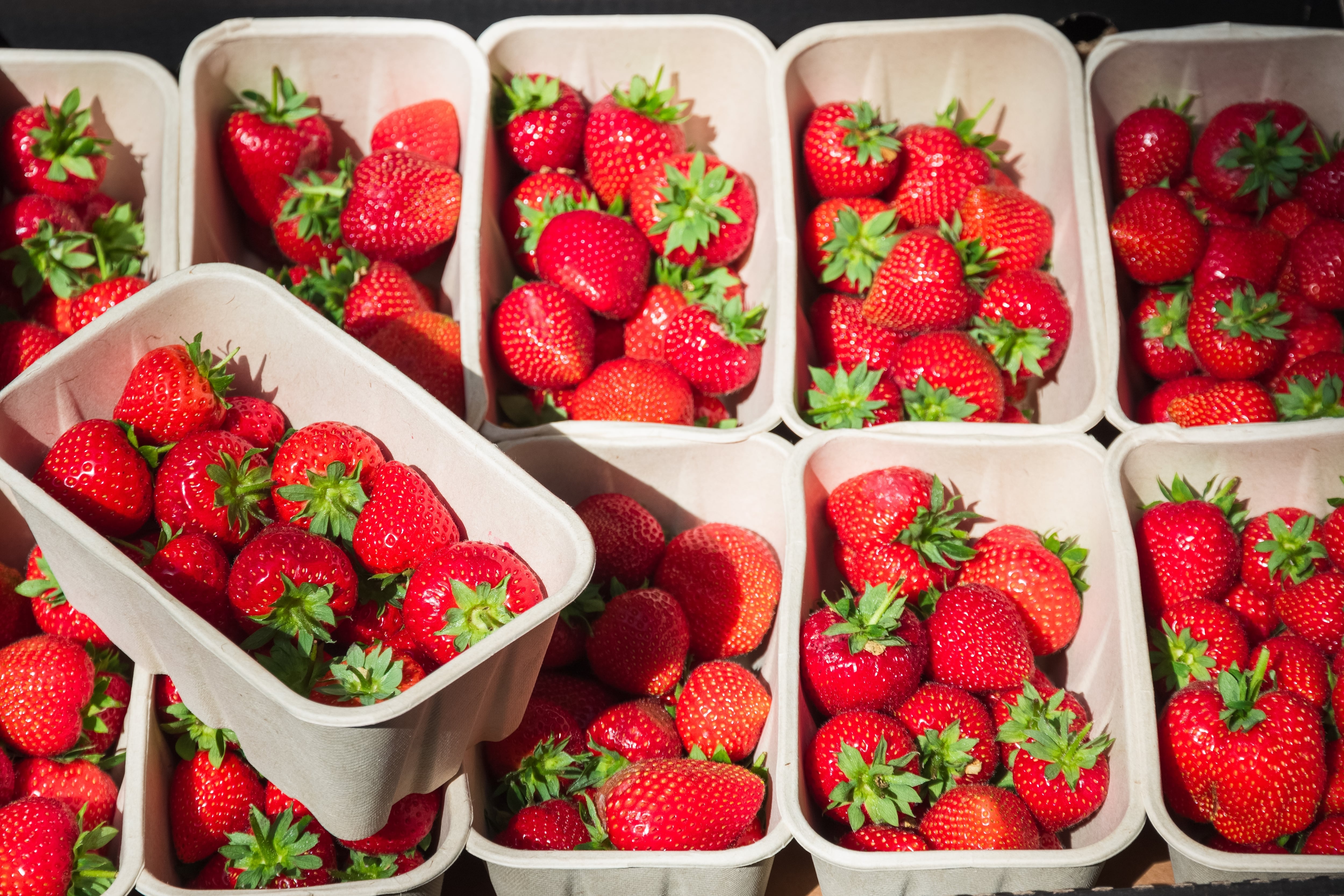 Fresas en venta, cajas de fresas