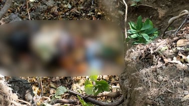 Encuentran cuerpo en descomposición en un guindo en Santa Cruz