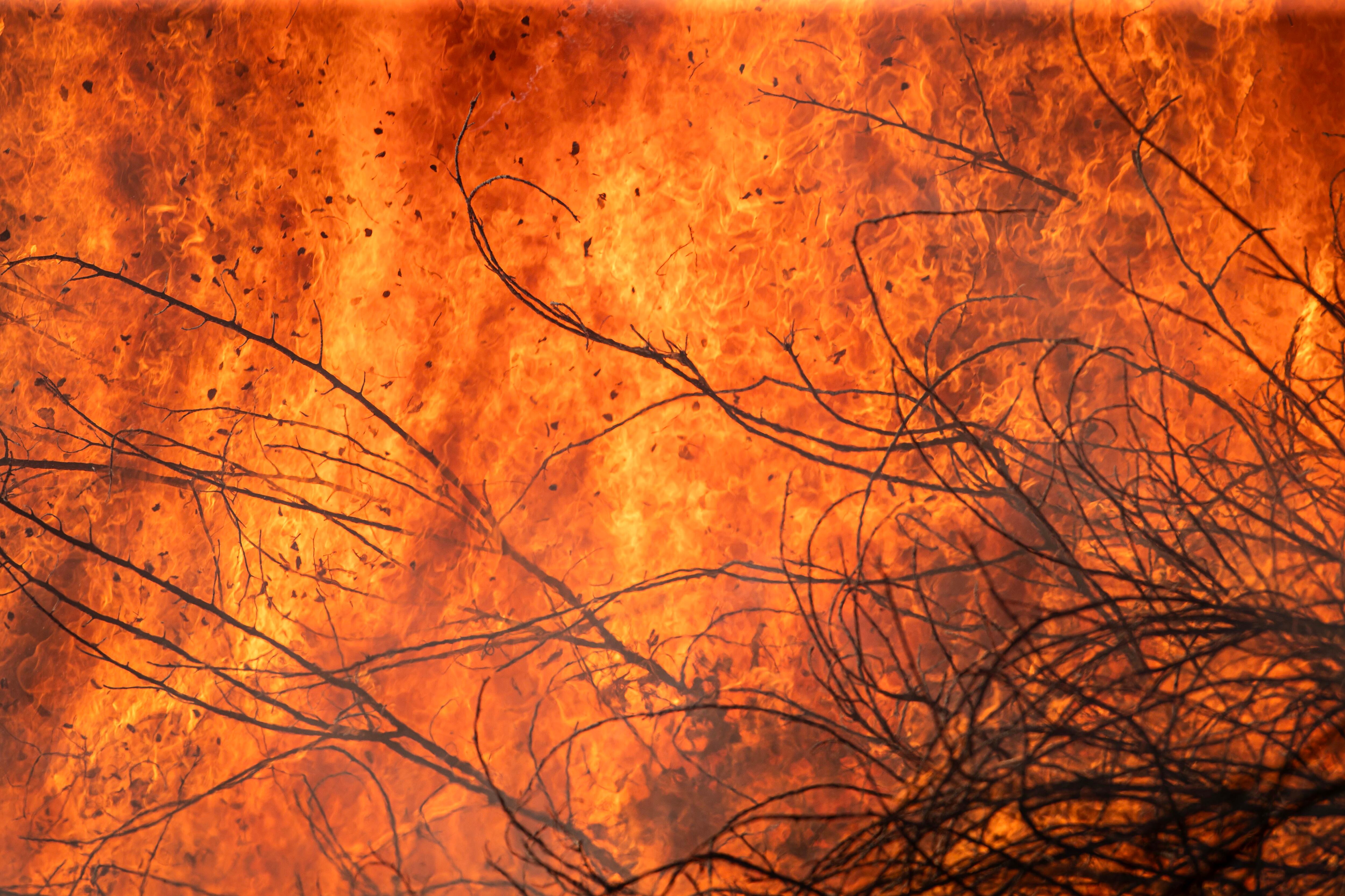 Incendios Forestales, lo atiende la birgada de bomberos forestales. Foto Alonso Tenorio