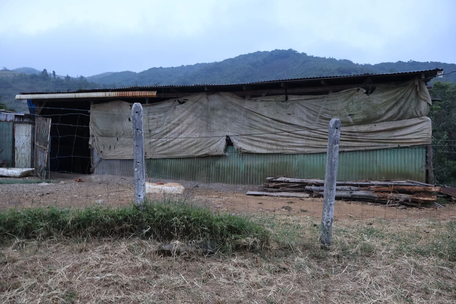 El OIJ de San Ramón ejecutó varias pruebas científicas con el fin de resolver el homicidio de un finquero en San Ramón de Alajuela.