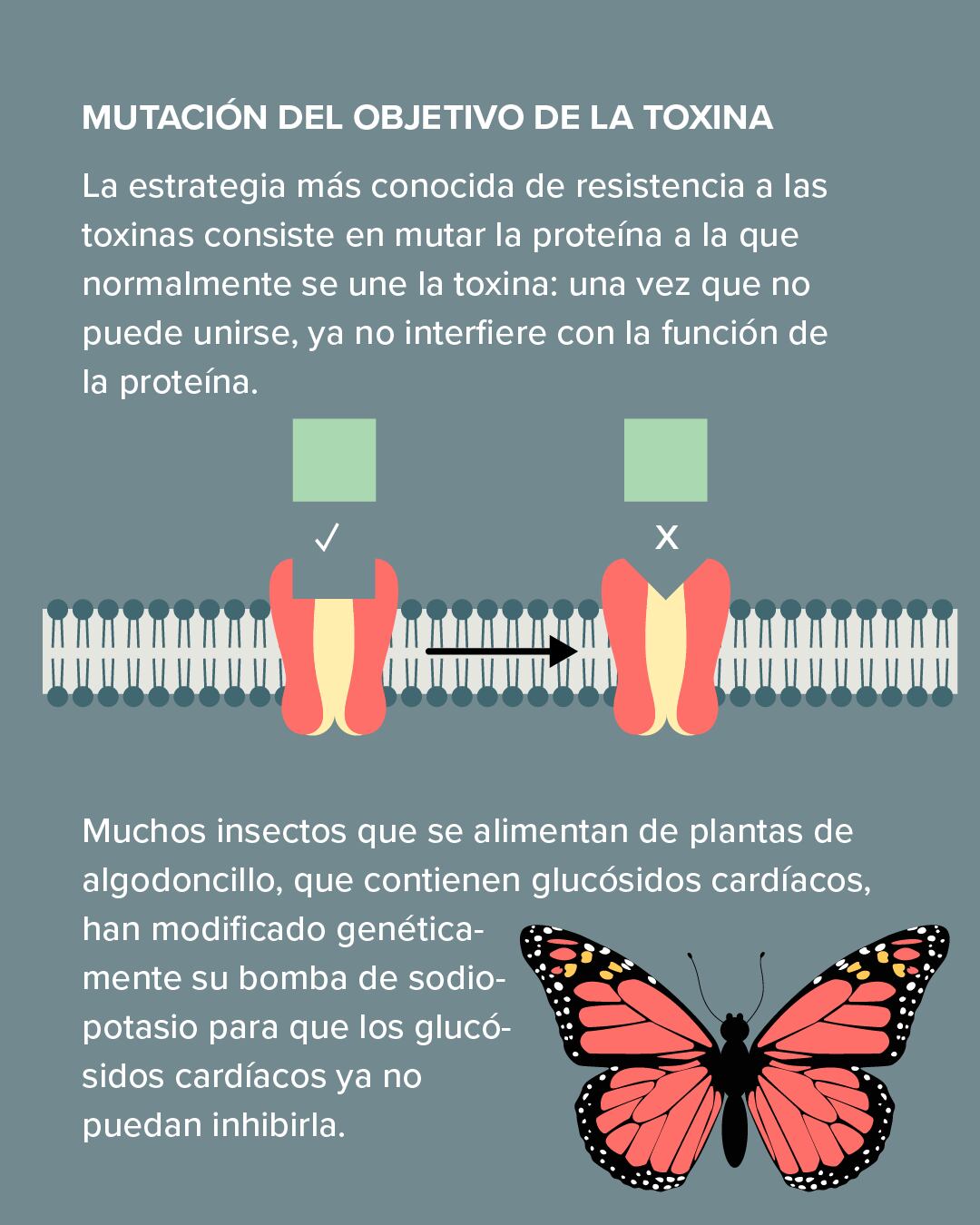 Explicación de la inmunidad al veneno en los animales.