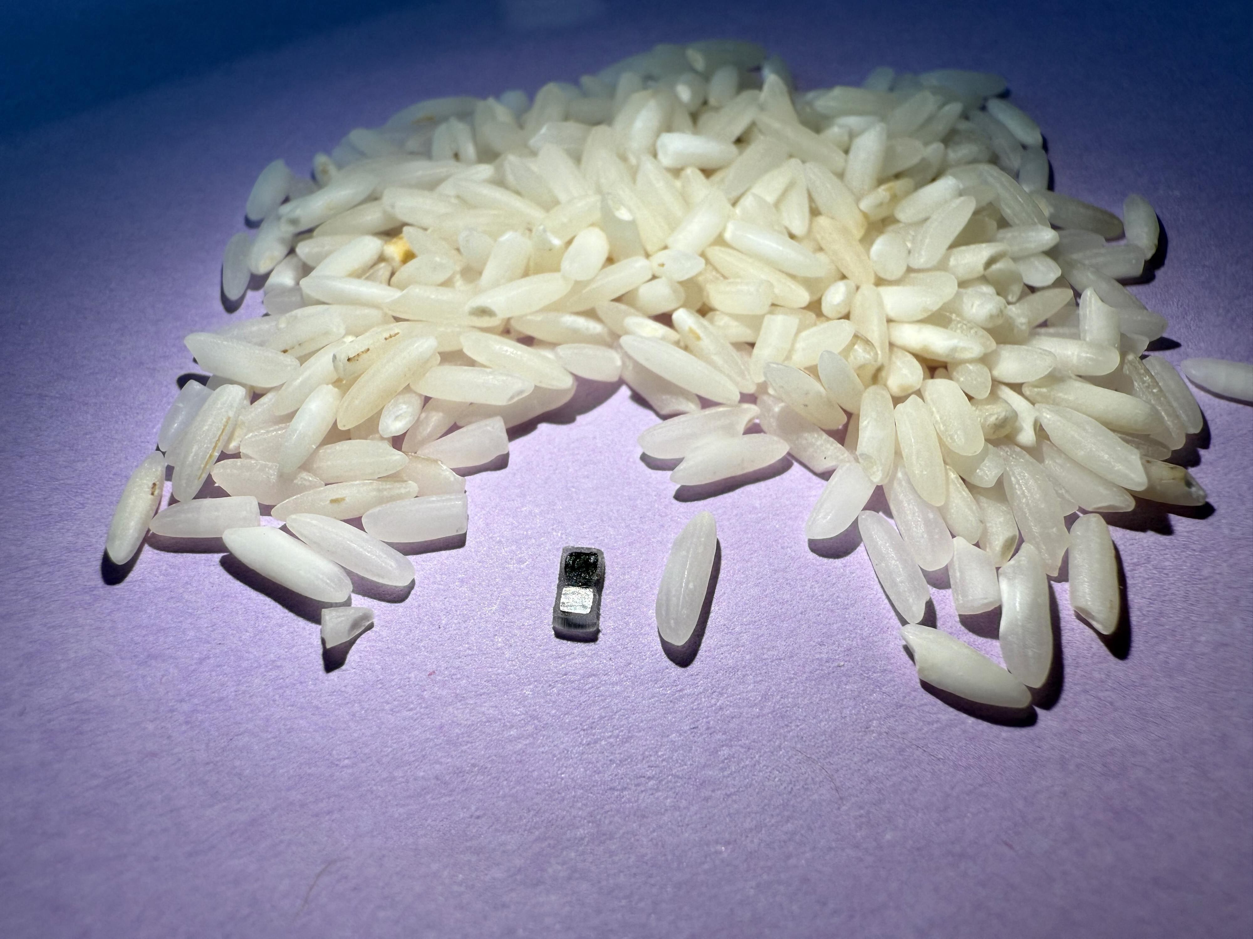 than a grain of rice that can be injected, controlled by light, and eventually dissolves. (Photo by John A. Rogers / Northwestern University / AFP) / RESTRICTED TO EDITORIAL USE - MANDATORY CREDIT "AFP PHOTO / NORTHWESTERN UNIVERSITY" - NO MARKETING NO ADVERTISING CAMPAIGNS - DISTRIBUTED AS A SERVICE TO CLIENTS