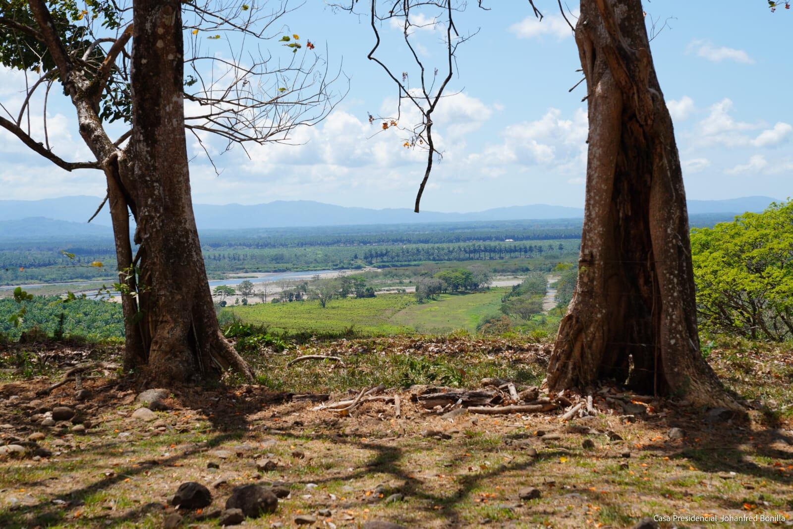 Lugar donde se construiría el aeropuerto en Osa.