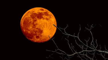 Tras la Luna de Nieve, un eclipse total teñirá el cielo de rojo antes del amanecer