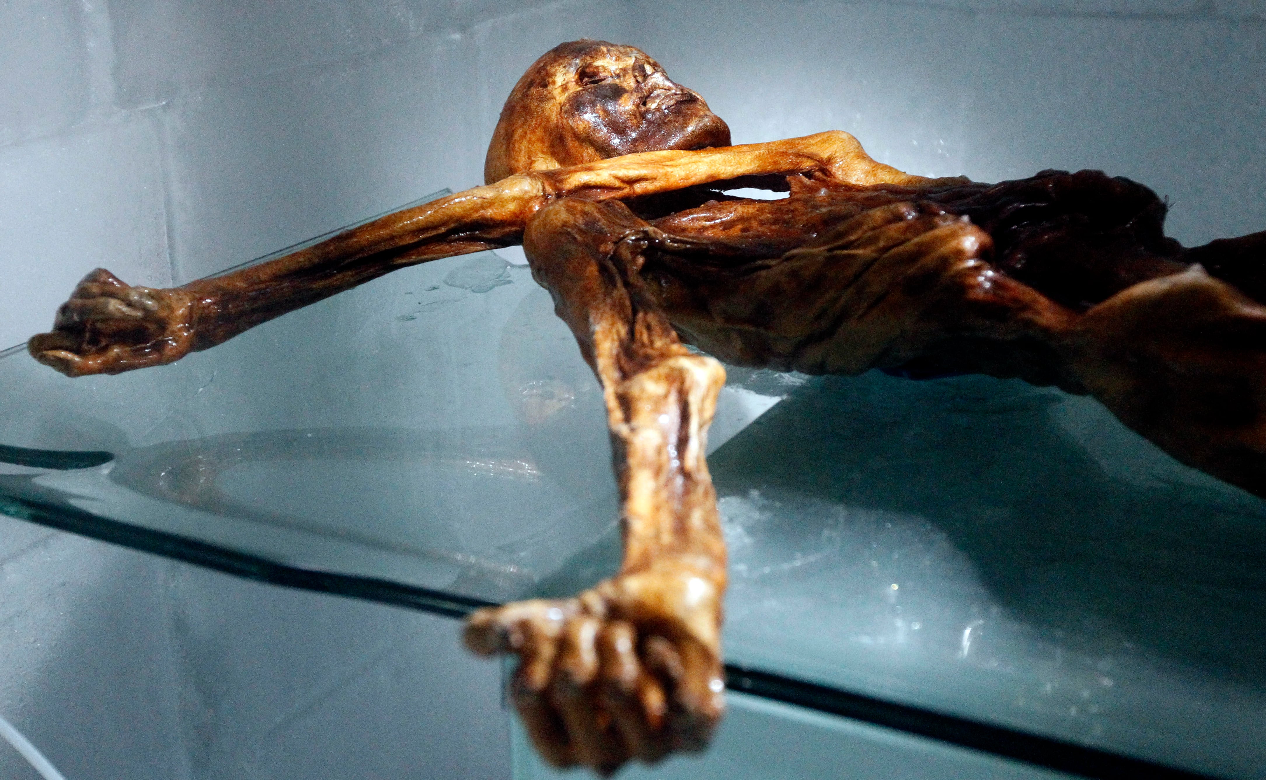 Hace más de 5.300 años —antes de que se construyeran las pirámides de Egipto— Ötzi caminaba por los Alpes, en la frontera entre Austria e Italia, cuando murió tras recibir una flecha en la espalda. (Foto: Andrea Solero / AFP)