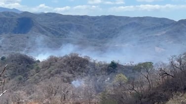 Bomberos combaten 10 incendios forestales activos en Guanacaste y Puntarenas