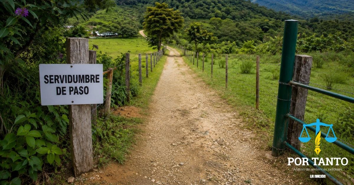 En la imagen, generada con IA, se ve un camino en medio de dos terrenos que dice servidumbre de paso