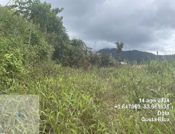 Terreno plano de 984 m² sin servicios. Requiere limpieza, trámites municipales y delimitación. Precio con descuento: ¢13,9 millones.