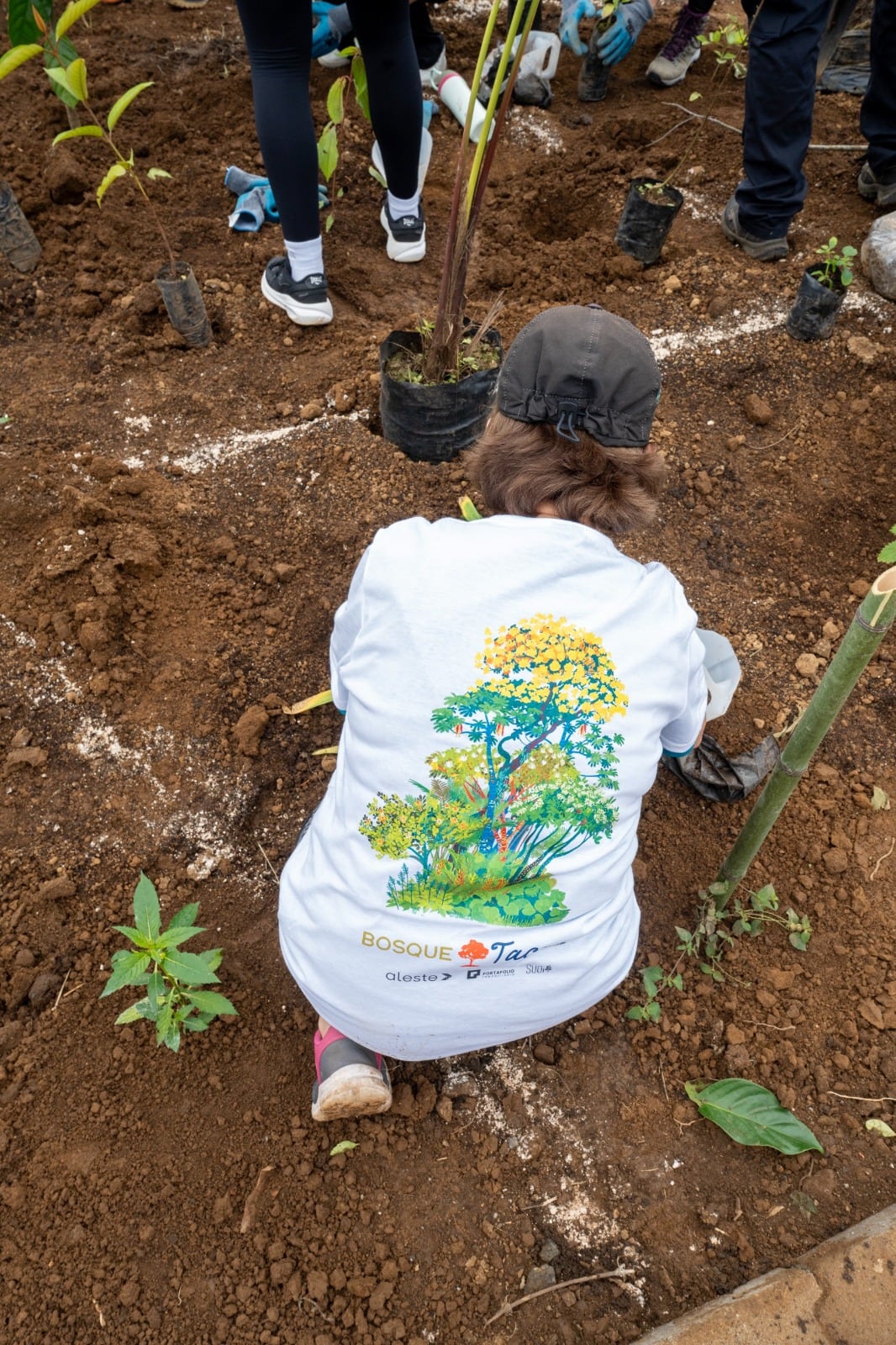 200 voluntarios colaboraron en el inicio del bosque de bolsillo de Aleste, en Curridabat.