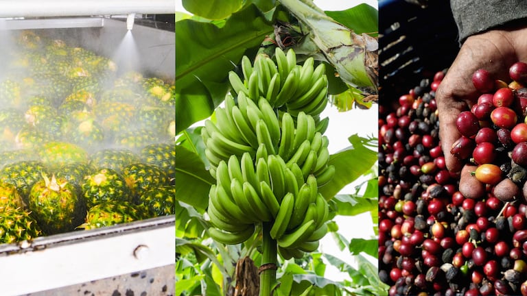 Mapa de las exportaciones de Costa Rica cambió: estos mercados ganan terreno