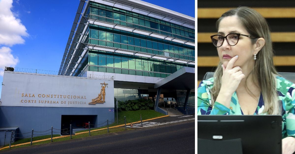 Suplentes de la Sala Constitucional