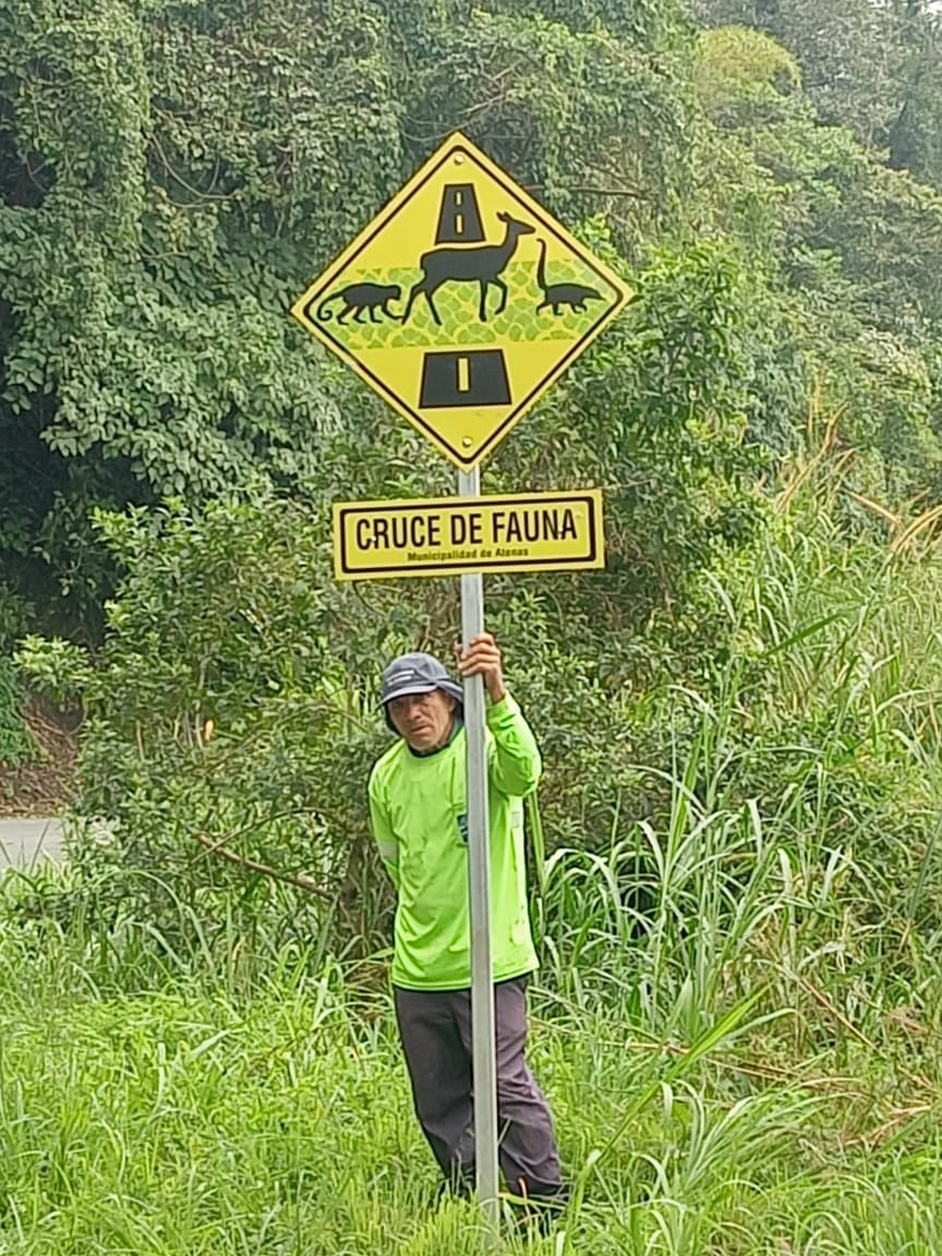 Un trabajador municipal con un rótulo que dice "Cruce de Fauna" en la mano.
