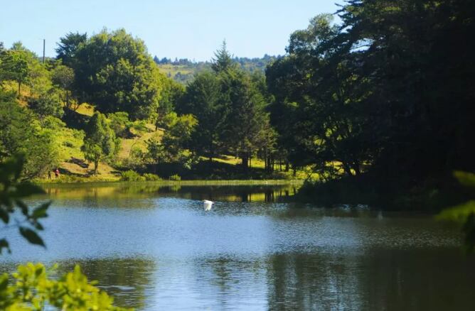 La Laguna don Manuel, que se ubica en Santa María de Dota, a hora y media de San José. Puede hacer senderismo y picnic.