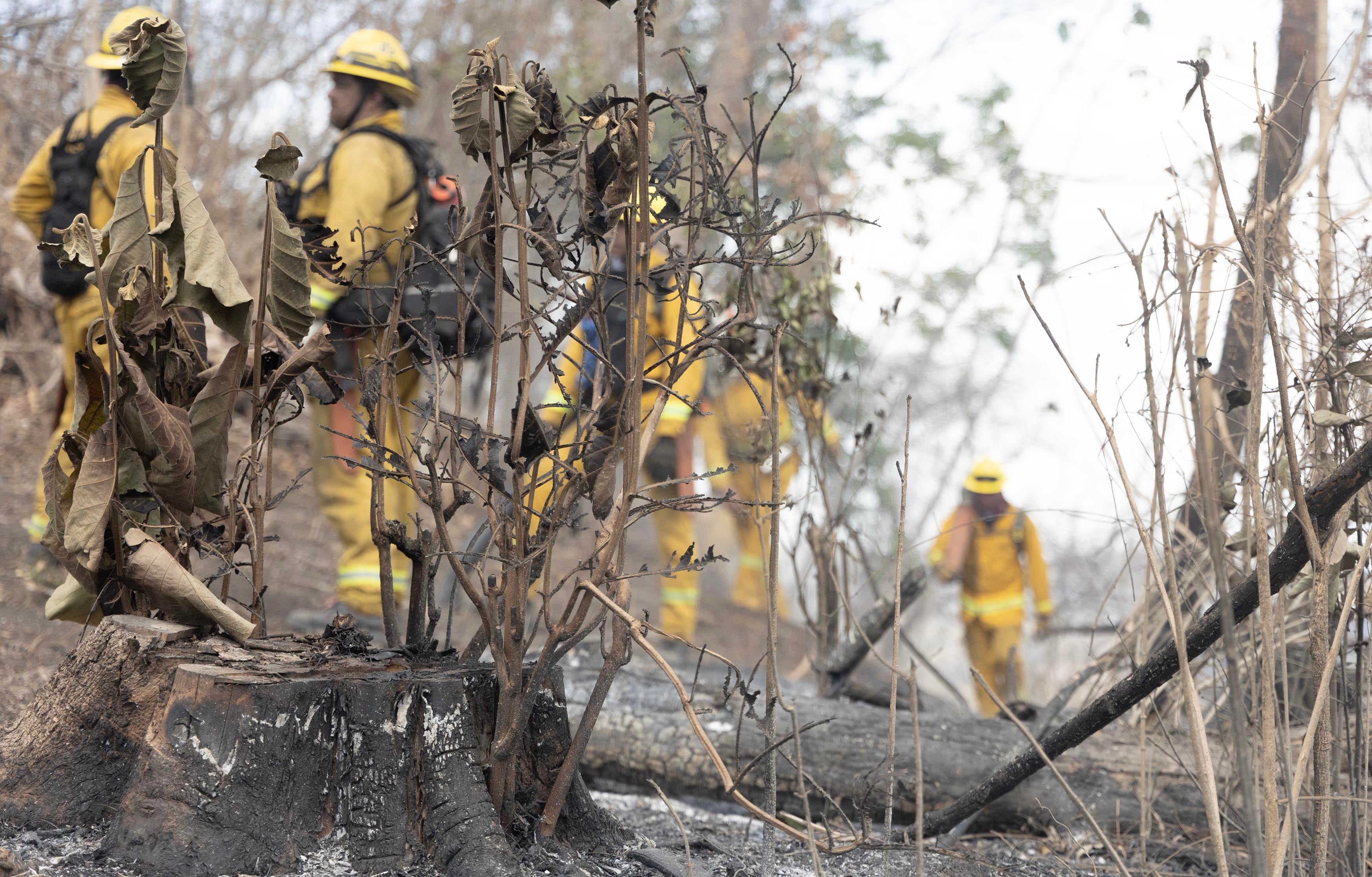 Incendios Forestales Guanacaste