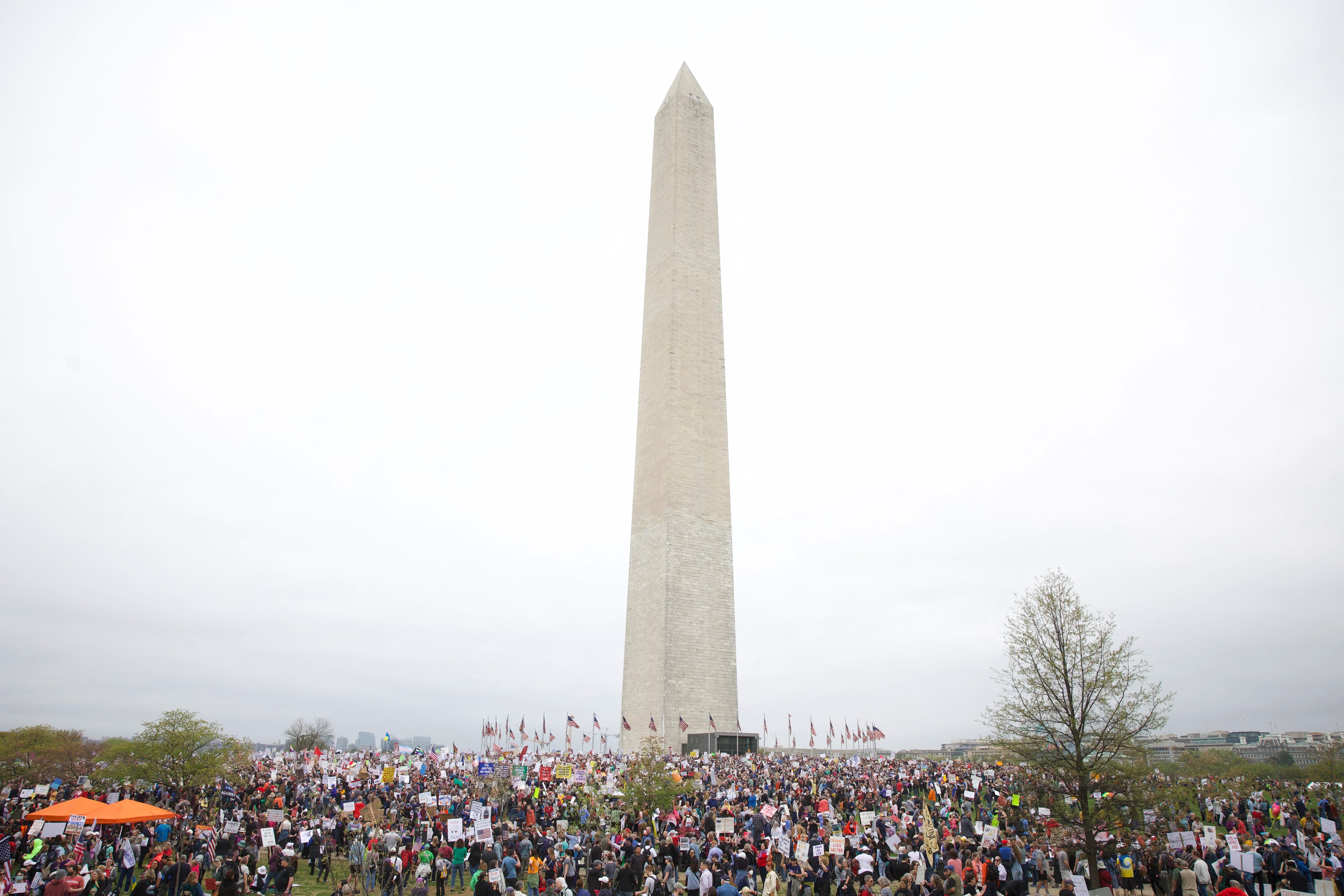 Manifestantes se congregaron en el National Mall para la protesta nacional "¡Manos Fuera!", contra el presidente estadounidense Donald Trump y su asesor, el director ejecutivo de Tesla, Elon Musk, en Washington D. C., este 5 de abril de 2025. Fotografía: