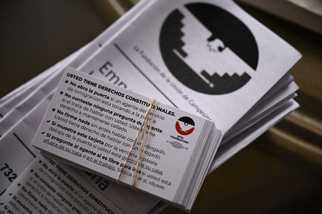 Cards from the United Farm Workers (UFW) Foundation to inform people of their constitutional rights are arranged for a photograph in Fresno, California, on February 12, 2025. With planting season well under way in California, the largest agriculture-producing state in the US, fear is taking root among thousands of migrants who labor to feed a country that now seems ready to deport them. (Photo by Patrick T. Fallon / AFP)