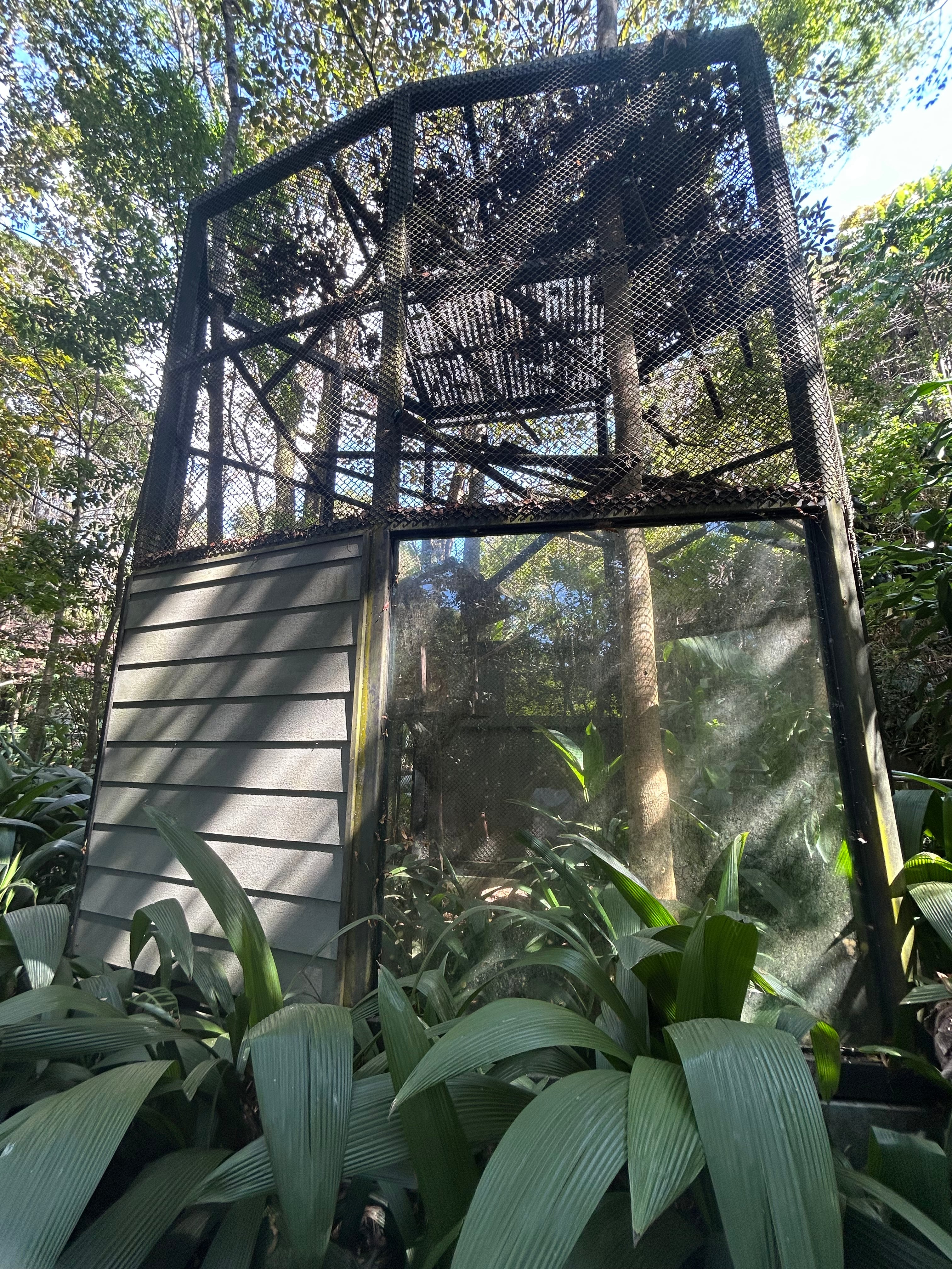 Simón Bolívar EXCLUSIVO VIVA