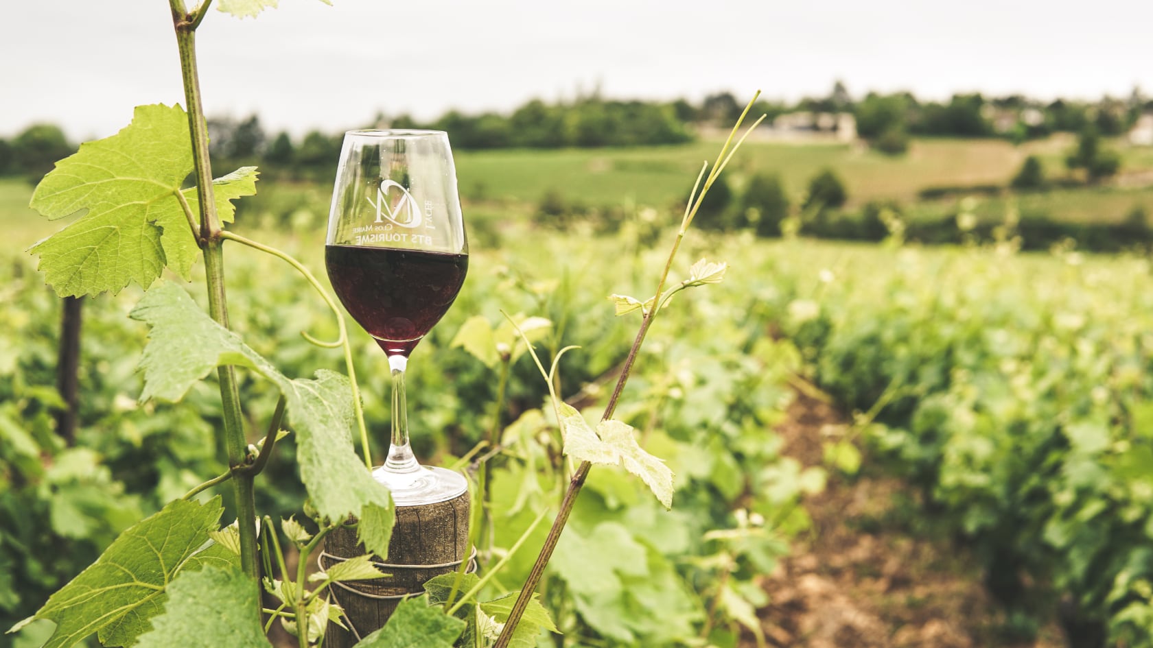 Primer laboratorio móvil de microbiología enológica en América Latina busca mejorar la calidad del vino argentino desde su origen.