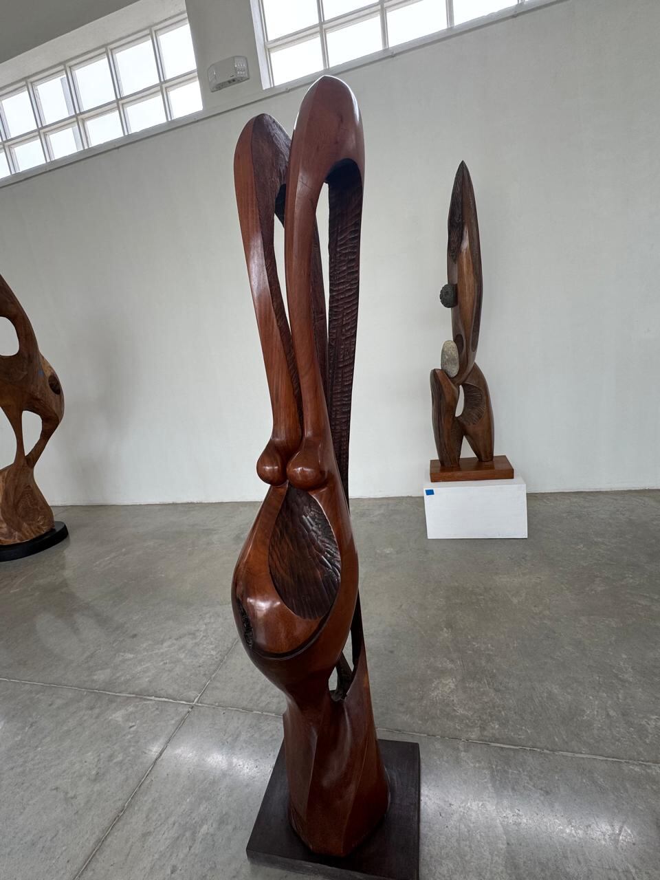 La retrospectiva de Domingo Ramos se puede apreciar en la Sala Garantías Sociales del Museo Calderón Guardia hasta el 13 de octubre.