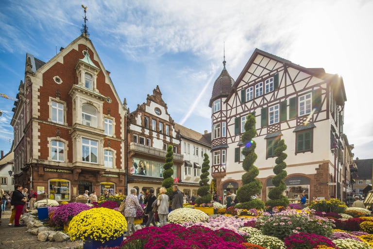 Festival de Crisantemos en Lahr, Baden-Württemberg, Alemania, en octubre.