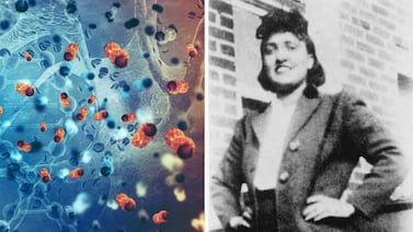 Células de mujer tomadas sin consentimiento en 1951 siguen en laboratorios: caso suma nuevo acuerdo judicial