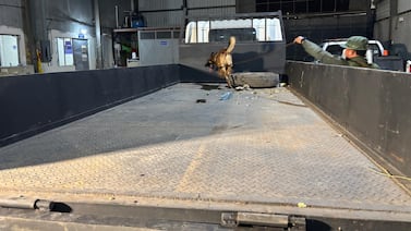 OIJ decomisa 370 kilos de cocaína en doble forro de un camión en Liberia