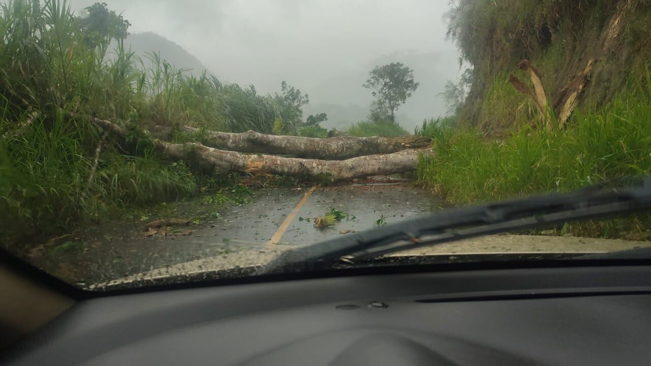La CNE reporta caída de material en la ruta que conecta Tucurrique con Cartago.
