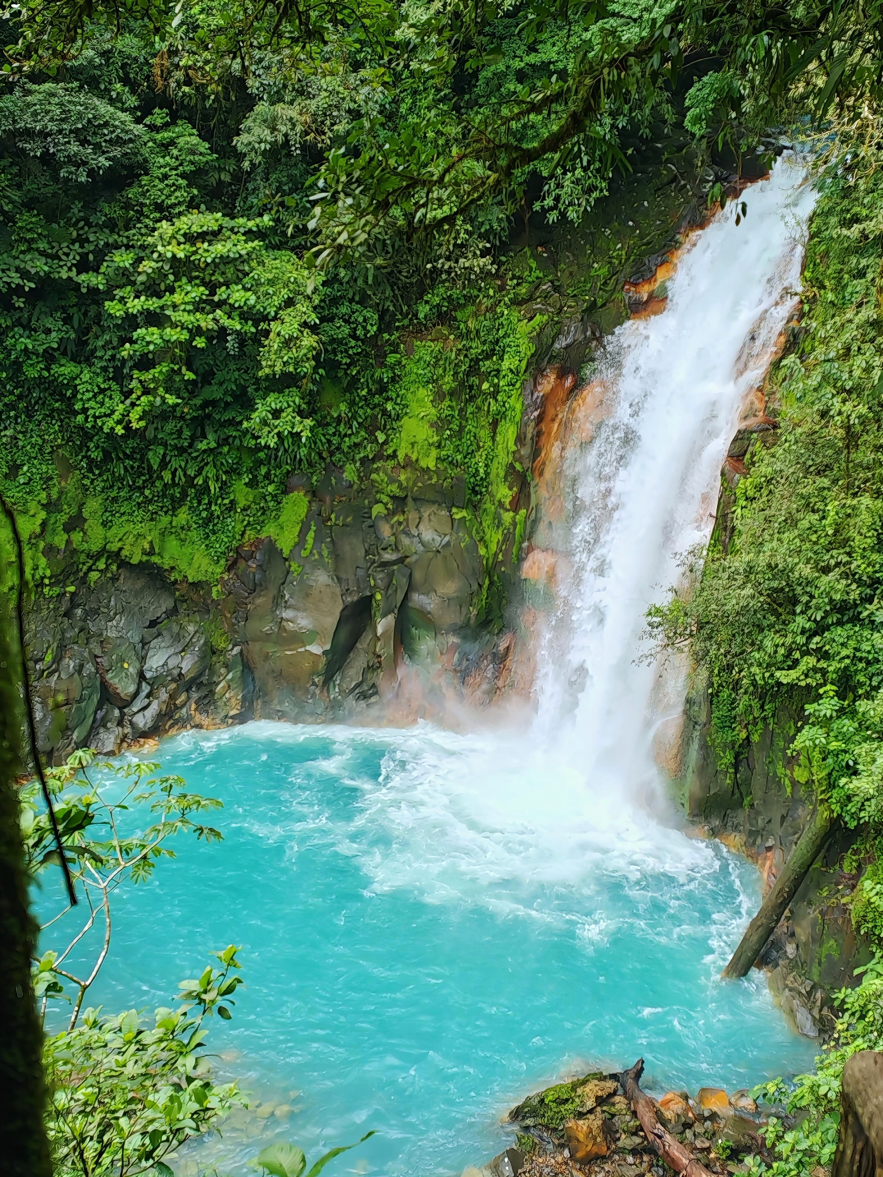 La zona de Bijagua y Rio Celeste ofrecerán opciones para que descubra la
zona y comparta con ellos su amor y respeto por la Danta