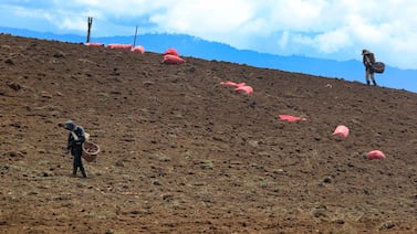 El Niño amenaza agua, electricidad y sectores productivos: así es como Costa Rica se prepara para la sequía más severa de la última década