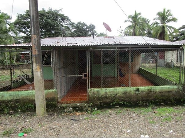 Casa en Las Delicias de Upala con 3 habitaciones y 1 baño. Tiene corredor y zona verde. Requiere mejoras para financiamiento. Ubicada cerca del Ebais local.