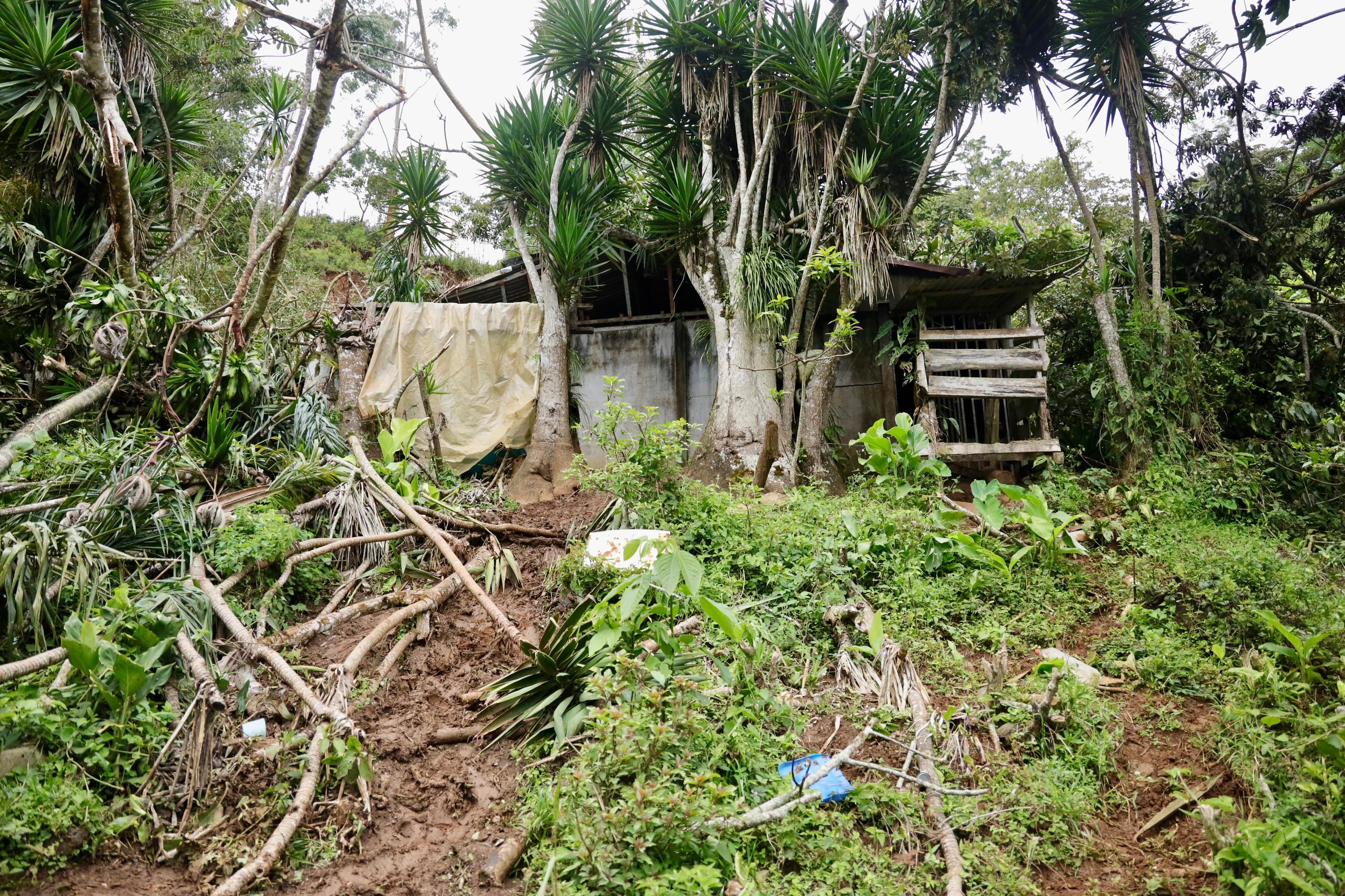 La casa, de madera, hierro y lata, quedo completamente destrozada.