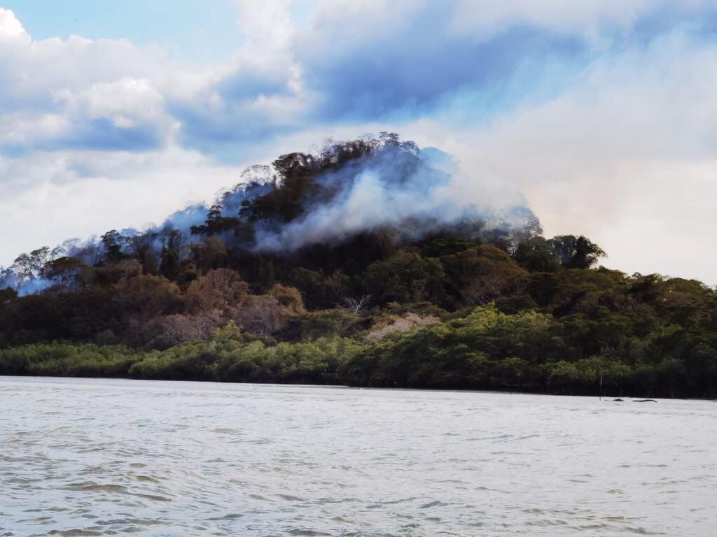 Muchos árboles, arbustos y vegetación del bosque primario de la isla en el golfo de Nicoya han sido consumidos por el fuego. Foto: Cortesía Bomberos.