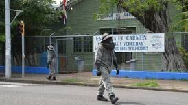 22 escolares picados por abejas en Puntarenas