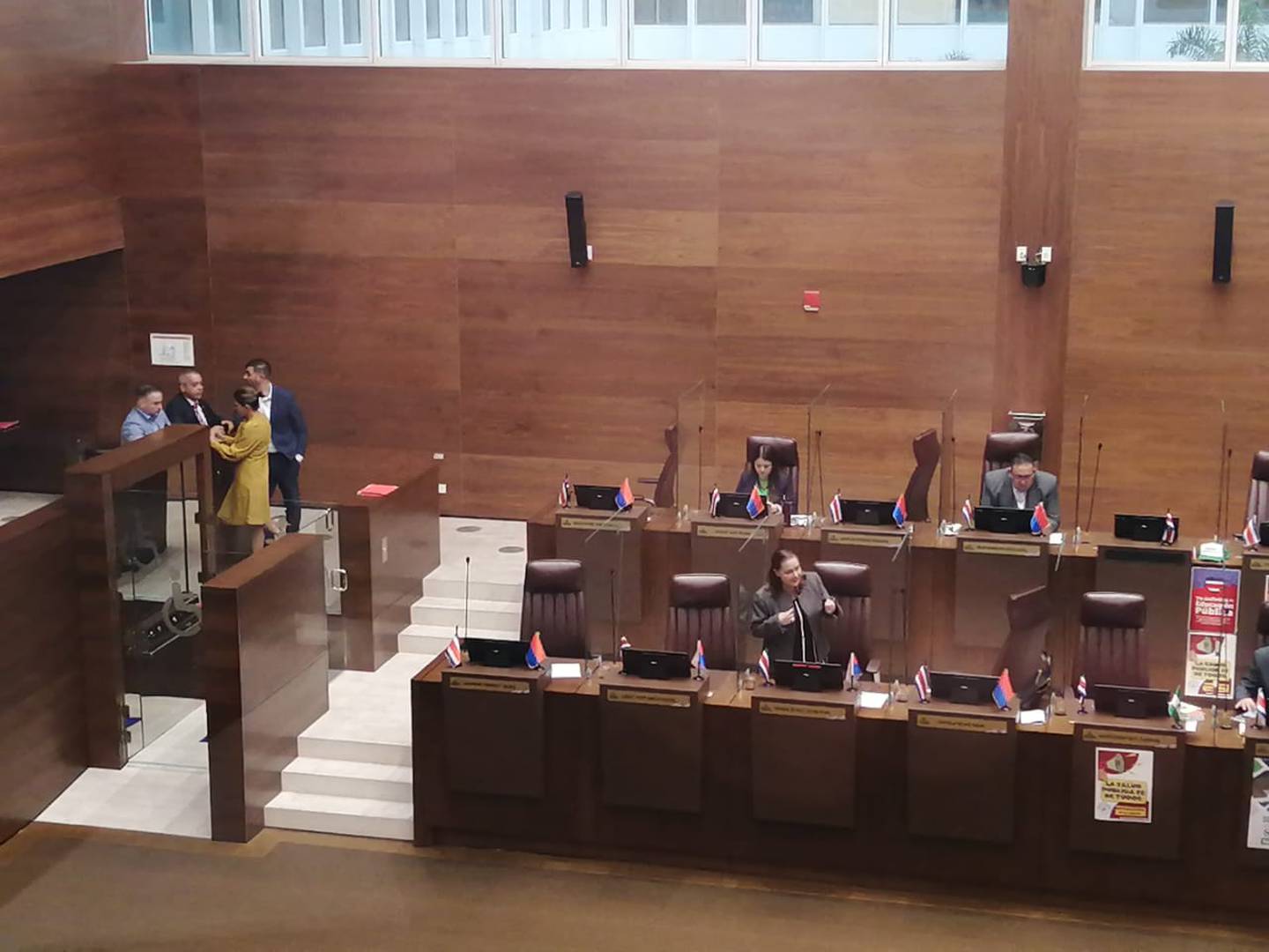 La diputada Vanessa Castro (de pie, en su curul) defendió la moción para investigar al Sinart en una comisión especial. Foto: Aarón Sequeira
