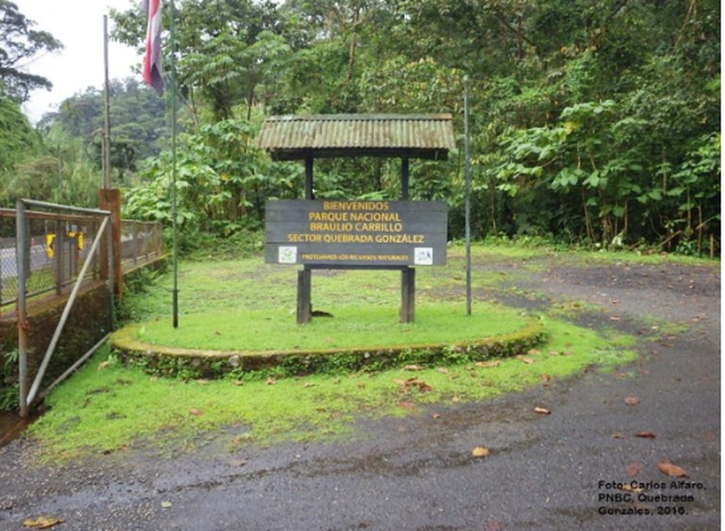 El Parque Nacional Braulio Carrillo se ubica al norte del Valle Central, sobre la Cordillera Volcánica Central. (Sinac)