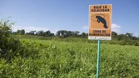 Vecinos del Caribe norte rotulan sus ríos para evitar muerte de manatíes por botes 