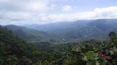 Bosques son insuficientes para mitigar cambio climático en Costa Rica