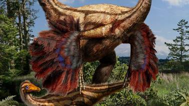 Dinosaurios usaban sus plumas para seducir
