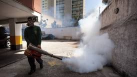 ONU pide  autorizar aborto   en  países afectados por zika